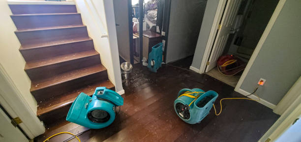 Best Ceiling water damage repair  in Belle Plaine, KS