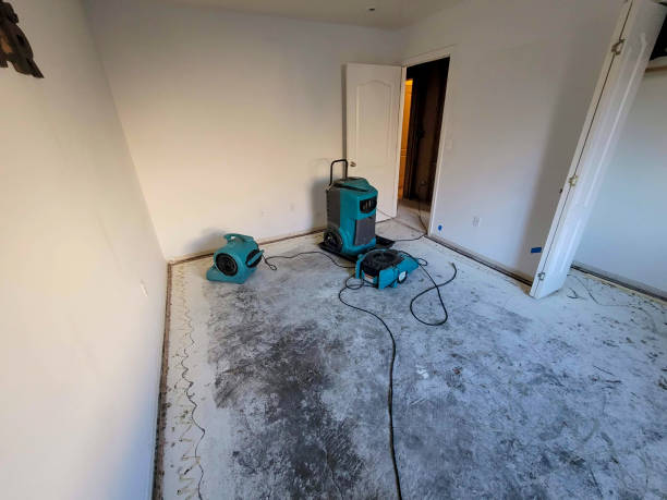 Best Water damage contractors near me  in Belle Plaine, KS