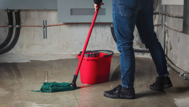 Best Flooded house restoration  in Belle Plaine, KS