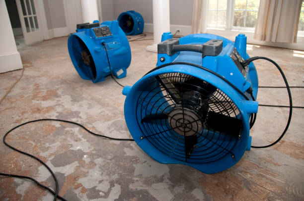 Best Water damage restoration near me  in Belle Plaine, KS