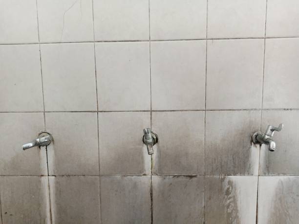 Best Flood damage cleanup  in Belle Plaine, KS