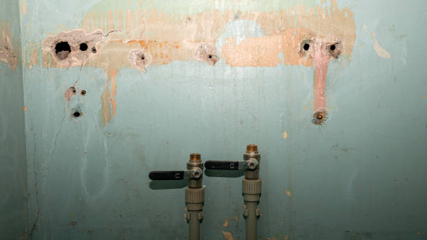 Best 24/7 water damage repair  in Belle Plaine, KS