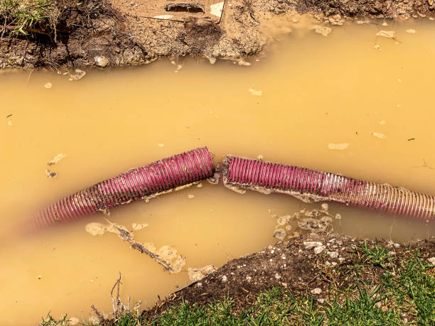 Best Emergency water damage restoration  in Belle Plaine, KS